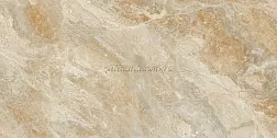 Zibo Fusure Gold Ink Marron G126055G Коричневый Полированный Керамогранит 60x120 см
