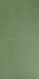 Casalgrande Padana R- Evolution Green 36SC Керамогранит 60x120 см