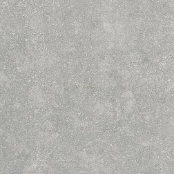 Alpas Euro Outdoor Fossil Gris 20 mm Серый Матовый Керамогранит 60х60 см
