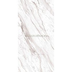 Belleza Embito Керамогранит ATLANTA WHITE (SILVER GLOSSY CARVING) 60х120х0,9