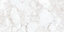 Absolut Gres Rossalia Natural Серый Полированный Керамогранит 60x120 см