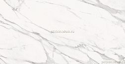 Emil Ceramica Tele Di Marmo Statuario Michelangelo Naturale Керамогранит 60х120 см