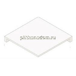 FMG Maxfine Roads Corten Angolo Scalino Costa Retta SQ Ступень 35х150 см