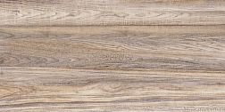 Alma Ceramica Dublin TWU09DBL404 Керамическая плитка 24,9x50