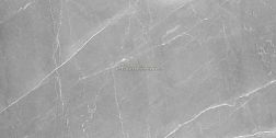 Absolut Gres Armani Gris Серый Матовый Керамогранит 60x120 см