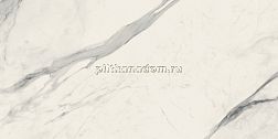 Versace Maximvs 67580 Statuario White Megabarocco Lux Керамогранит 60х120 см