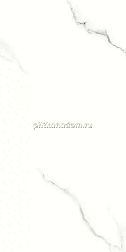 Belleza Zoom Satuario Carving Карвинг Rett. Керамогранит 60х120 см
